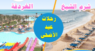 رحلات عيد الاضحى 2023 شرم الشيخ الغردقة_1200