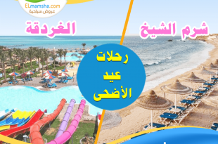 رحلات عيد الاضحى 2023 شرم الشيخ الغردقة_1200