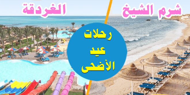 رحلات عيد الاضحى 2023 شرم الشيخ الغردقة_1200