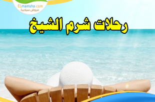 عروض نصف العام رحلات شرم الشيخ من القاهرة بالإنتقالات أو بدون - رحلات نصف العام - رحلات نصف السنة - 4 ايام 3 ليالي - 4 ليالي 5 ايام