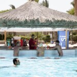 بار على احد حمامات السباحة الأربعة بار على احد حمامات السباحة الأربعة