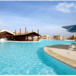 حمام السباحة مع بار حمام السباحة مع بار