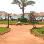 شاطئ الفندق شاطئ الفندق