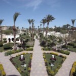 منتجع ريجينا الغردقة منتجع ريجينا الغردقة